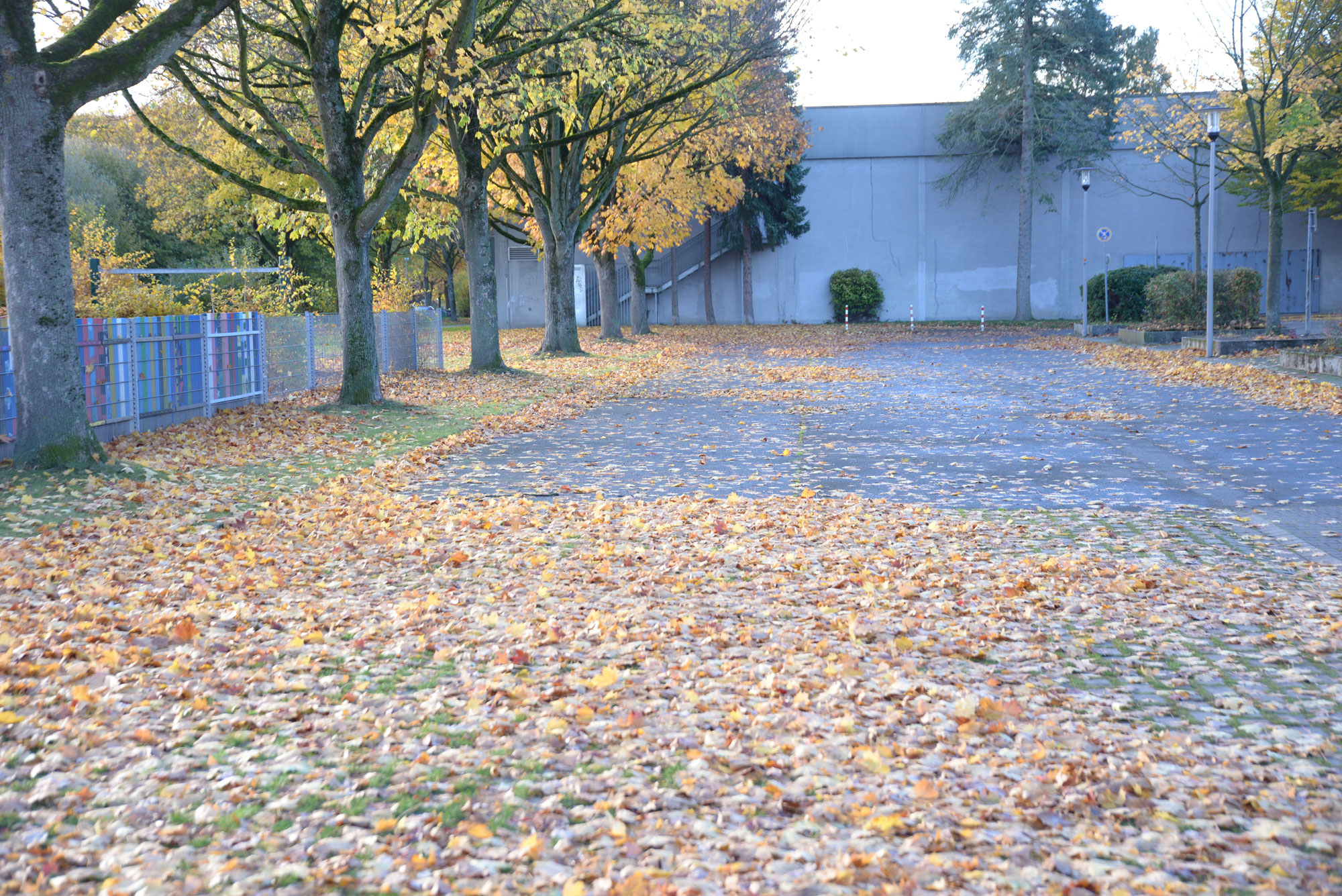 Laubsauger für Großflächen bei Bendick in Mettingen kaufen