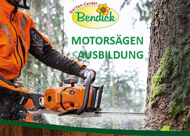 Motorsägenausbildung bei Bendick in Mettingen