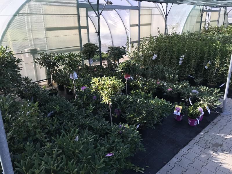 Garten Center Bendick Ihr Gartencenter Im Tecklenburger Land
