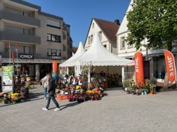 Bendick on Tour Ibbenbüren