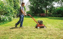 Rasen vertikutieren Gartentipps