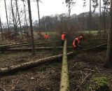 Motorsägenkurse bei Bendick in Mettingen