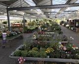 Eindrücke vom Garten-Center Bendick in 49497 Mettingen