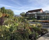 Eindrücke vom Garten-Center Bendick in 49497 Mettingen