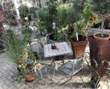 Eindrücke vom Garten-Center Bendick in 49497 Mettingen