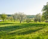 Nicht jede Grünfläche ist robotertauglich