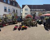 Bendick "on Tour" in Mettingen