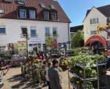 Bendick "on Tour" in Mettingen