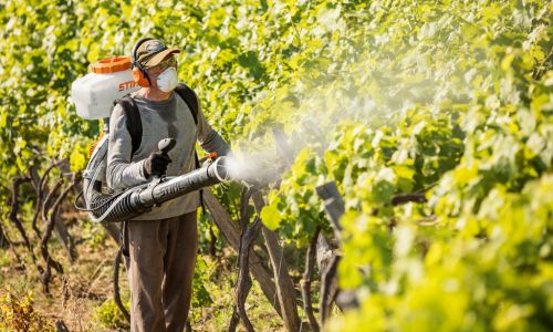 Gartenspritzen bei Bendick in Mettingen