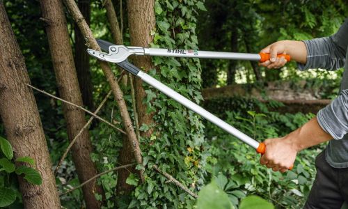 Astscheren und Gartenscheren bei Bendick in Mettingen