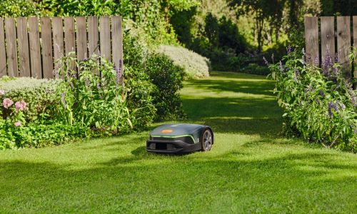 Mähroboter bei Bendick in Mettingen