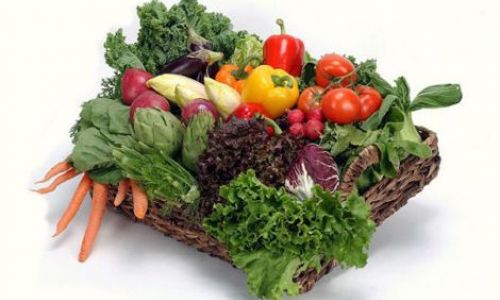 Sämereien für Gemüse- und Blumenanzucht bei Bendick in Mettingen