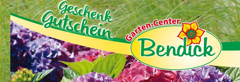 Einkaufsgutschein bei Bendick in Mettingen