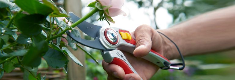 Gartentechnik bei Bendick in Mettingen