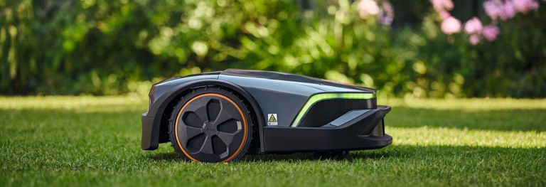 STIHL IMOW Mähroboter bei Bendick in Mettingen