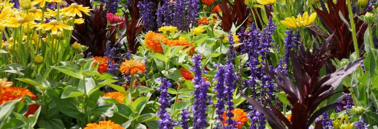 Gartencenter Bendick in Mettingen