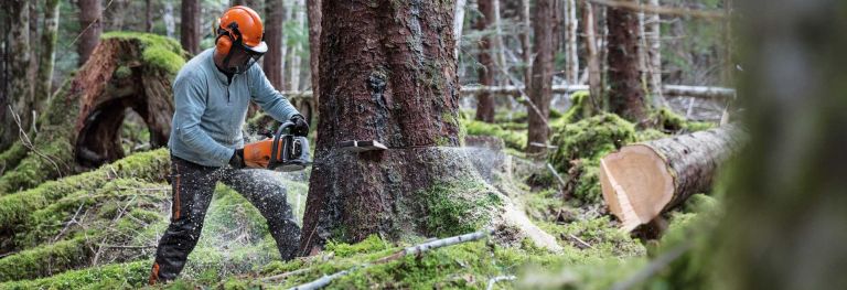 Motorsägenkurse bei Bendick in Mettingen