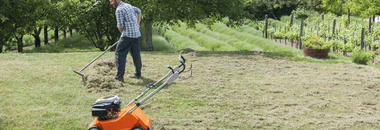 Geräte zur Rasenpflege bei Bendick in Mettingen